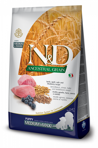 N&D Low Grain Lamb & Blueberry Puppy Medium/Maxi (ягнёнок, черника для щенков средних и крупных пород)