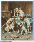 Набор для вышивания "00324 Beagle Puppies Feasting"