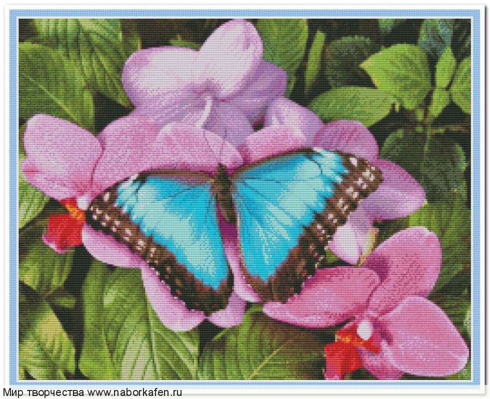 Набор для вышивания "00409 Бабочка и орхидея"