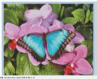 Набор для вышивания "00409 Бабочка и орхидея"