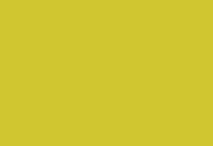 LM 0055 Желтый галлион (ФАСАД)