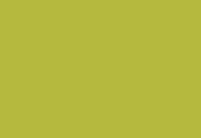 LM 0016 Зелено-желтый лайм (Clean Room)