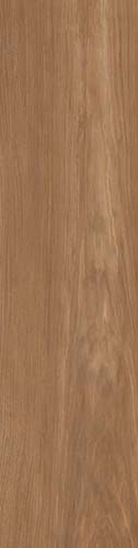Керамогранит Ceramica D Imola Wood Wrvr3012BsRm 30х120 ФОТО