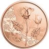Роза 10 евро Австрия 2021 Серия «Язык цветов»