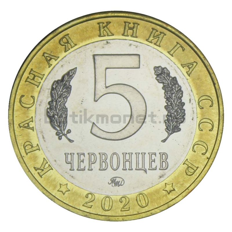 Россия Монетовидный жетон 5 червонцев 2020 ММД Шахин (Красная Книга)