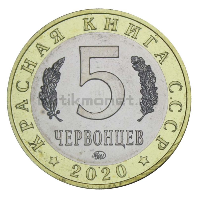 Россия Монетовидный жетон 5 червонцев 2020 ММД Бражник Олеандровый (Красная Книга)