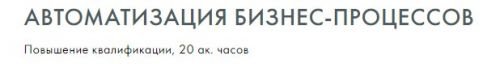 [Русская школа управления] Автоматизация бизнес-процессов (Ирина Гритчина, Игорь Алешин)