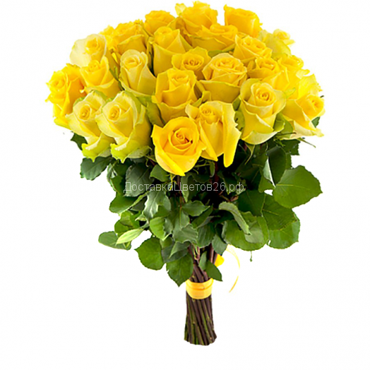 Желтые розы (Россия 50, 60, 70 см)