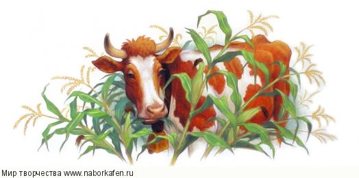 HAESG 15273 The Cows In The Corn Field