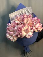 Эксклюзивные розы "Софи Лорен" 60 см в дизайнерской упаковке