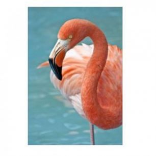 Картина Flamingo, коллекция "Фламинго", Стекло, Полипропилен, Мультиколор