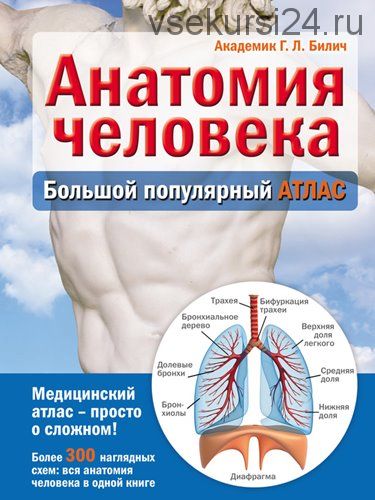 Анатомия человека. Большой популярный атлас (Г. Л. Билич)