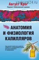 Анатомия и физиология капилляров (Август Крог)