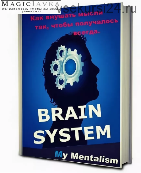 Brain System, 2016