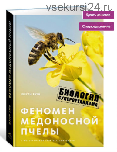 Феномен медоносной пчелы. Биология суперорганизма (Юрген Тауц)