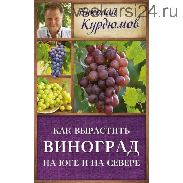Как вырастить виноград на Юге и на Севере (Николай Курдюмов)