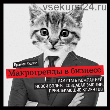 Макротренды в бизнесе. Как стать компанией новой волны, создавая эмоции (Брайан Солис)