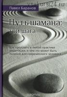 Путь Шамана. Как преуспеть в любой практике медитации (Павел Баранов)