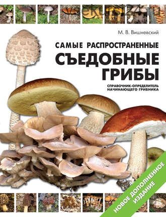 Самые распространенные съедобные грибы (Михаил Вишневский)