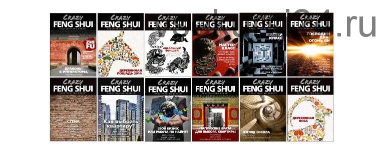 12 выпусков журнала «Crazy Fengshui» (Владимир Захаров)