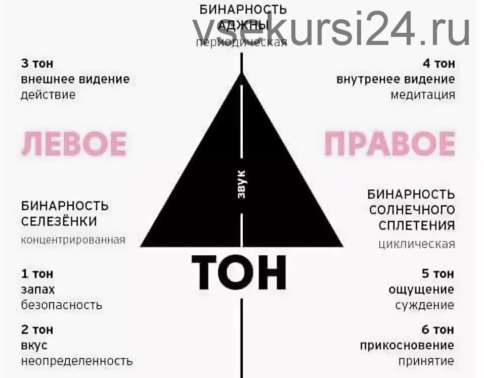 Левое и правое тело. Левый ум и правый ум в дизайне человека. Правые и левые в дизайне человека. Правый ум в дизайне человека как определить. Тон дизайн человека.