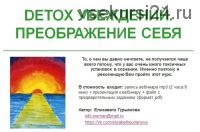 DETOX Убеждений. Преображение себя (Елизавета Гурьянова)