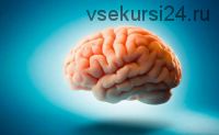 Мозгобилдер - Тренинг по развитию памяти и мозга (Алексей Маматов)