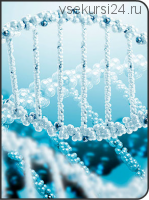 Очистка ДНК [AST production]