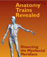 Анатомические поезда в реальности, DVD 1 (Томас Майерс)