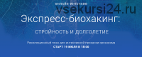 Экспресс-биохакинг: стройность и долголетие (Ирина Мальцева, Людмила Селедцова)