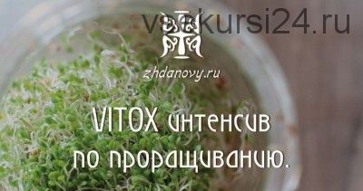 VITOX интенсив по проращиванию, 2017 (Гаврила и Татьяна Ждановы)
