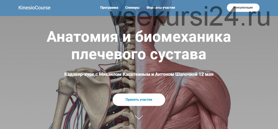 [kineziocourse] Анатомия и биомеханика плечевого сустава. Онлайн (Михаил Касаткин, Антон Шапочка)