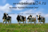 Крупно-рогатый скот. Как зарабатывать 500 000 рублей в месяц, 2015