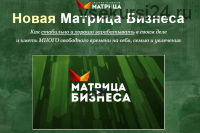 Новая матрица бизнеса, 2020. Пакет VIP (Дмитрий Богданов, Андрей Клюхин)