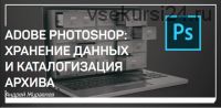 Adobe photoshop: Хранение данных и каталогизация архива (Андрей Журавлев)