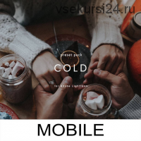 Мобильные прохладные пресеты Cold Mobile, DNG (Анастасия Мармурок)