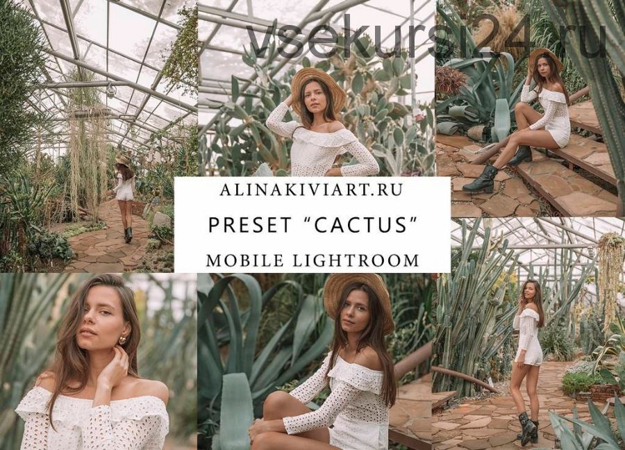 Мобильный пресет Cactus, 2019 (Alina Kiviart)