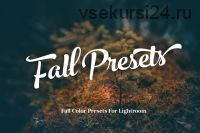 [CreativeMarket] Fall Presets, 2018