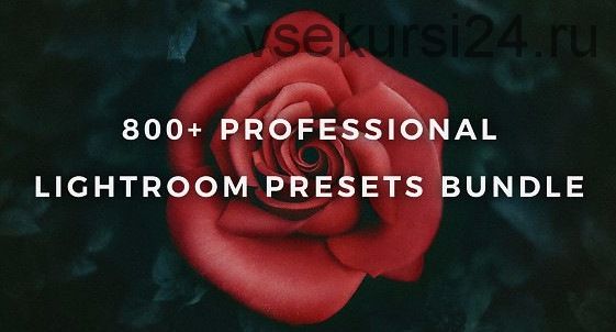 [CreativeMarket] Комплект из 800 пресетов Лайтрум. 800+ Lightroom Presets Bundle