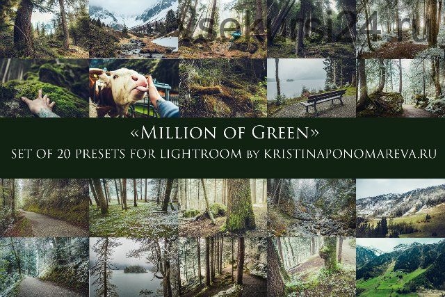 [CreativeMarket] Million of Green - Set of 20 presets Lr (Кристина Пономарева)