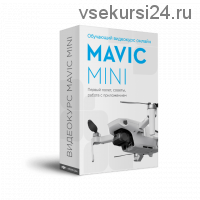 [Djimsk] DJI Mavic Mini - онлайн. Первый полет, советы, работа с приложением