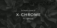 [Natephotographic] Пресеты X-Chrome Lightroom, 2018