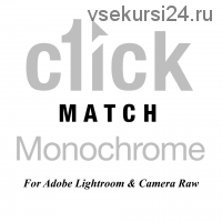 [Thearchetypeprocess.com] ЧБ пресеты для свадеб. Monochrome Pack (C1ick Match)