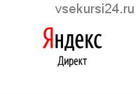 Идеальный Яндекс.Директ от А до Я