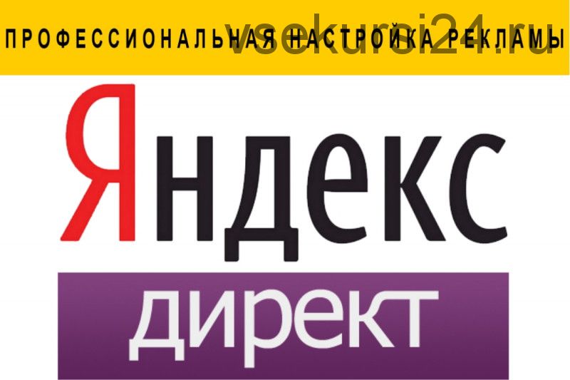 Профессиональная настройка Яндекс.Директ, 2016 (Нелли Давыдова)