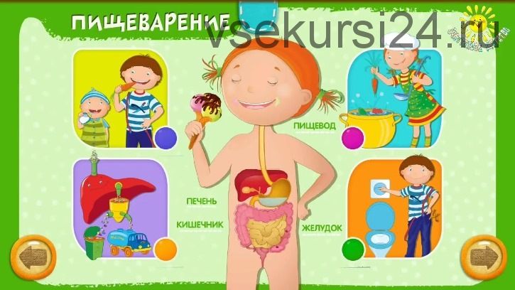 Моё тело или увлекательная анатомия для детей (Алина Закревская)