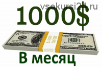 С $1,000 до $21,000 за один месяц (Александр Суворов)