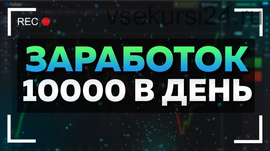 Заработок в прямом эфире до 10 000 рублей в день. Оплата программы (Филипп Лепихин)