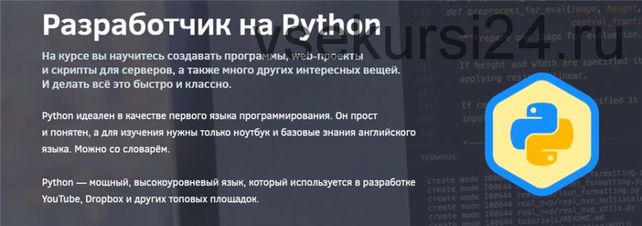 Разработчик на Python (Никита Соболев)