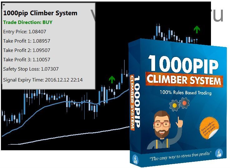 Прибыльная стратегия форекс: 1000pip Climber System